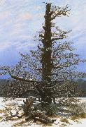 Caspar David Friedrich Oak Tree in the Snow (mk10) oil painting artist
